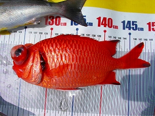 a0132631_17422536.jpg