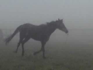今日もいい天気_e0145441_21534925.jpg