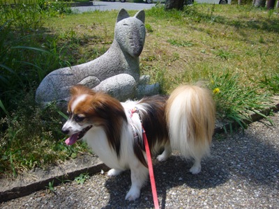 e0100046_21173094.jpg