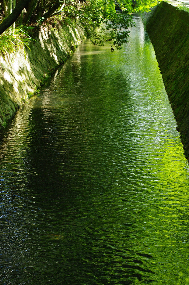 f0152550_1711746.jpg