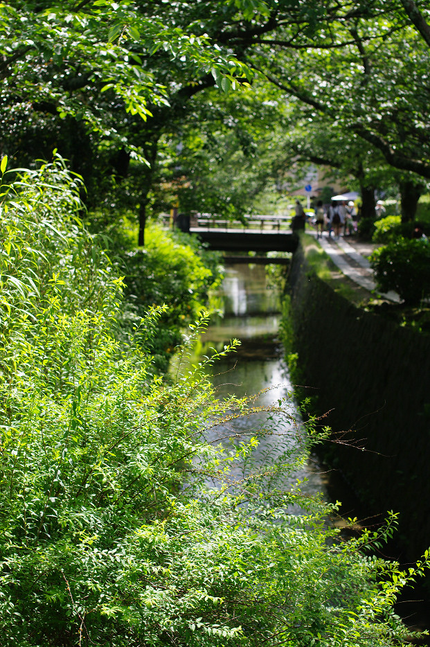 f0152550_1774296.jpg