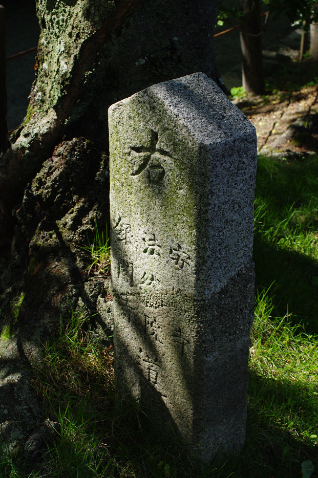 f0152550_1793083.jpg