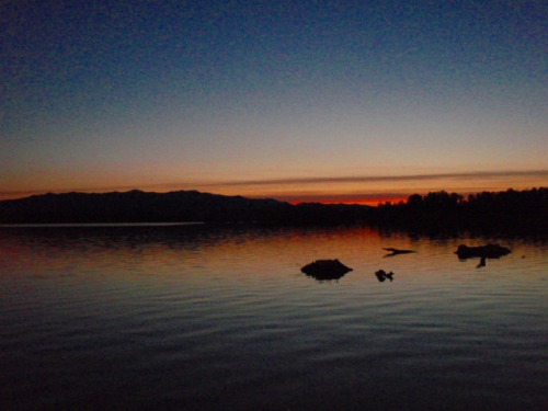 c0097652_15501881.jpg