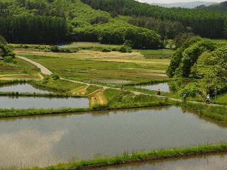 c0047856_21452494.jpg