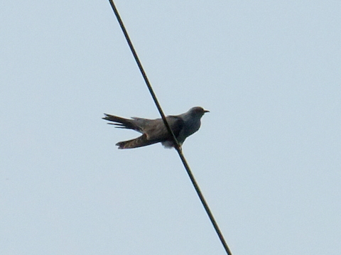 b0165760_12173022.jpg
