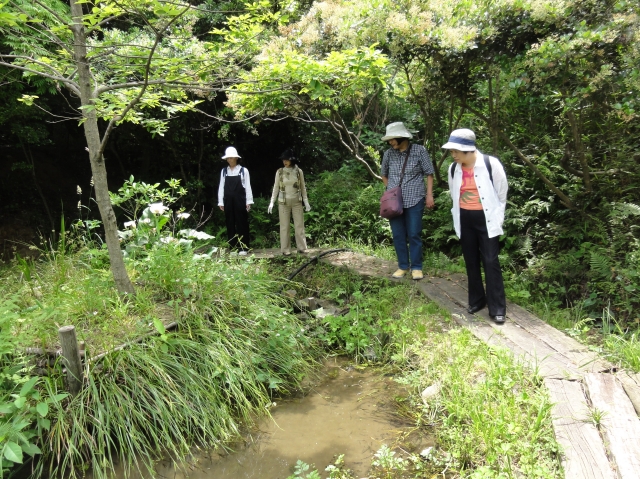 c0108460_20291999.jpg