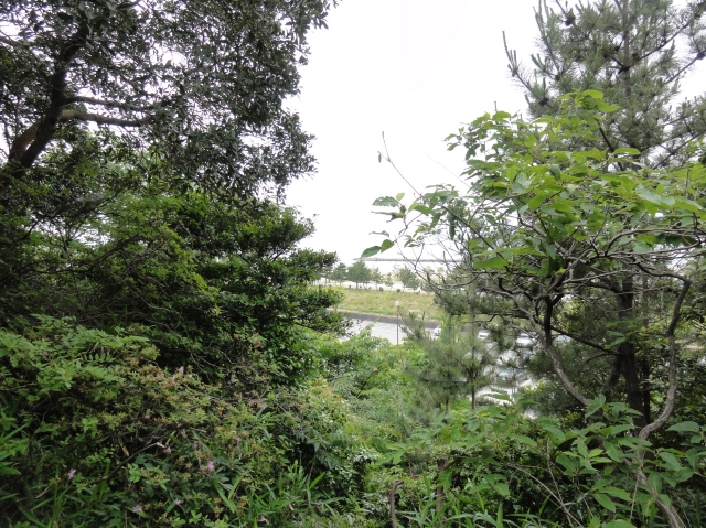 c0108460_2032359.jpg