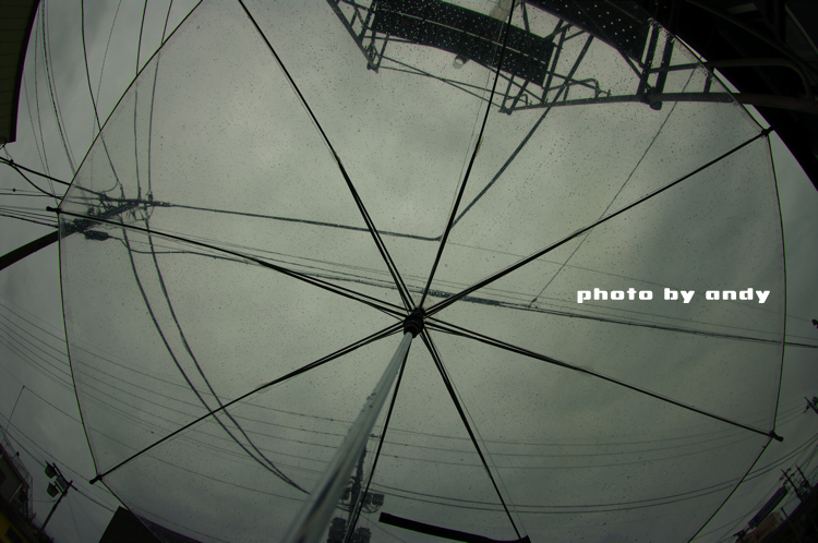 f0179061_9213432.jpg
