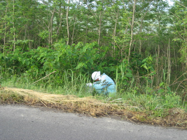 c0196062_655419.jpg