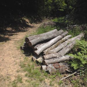 私は最初の4時間で斧を研ぐ Paddler S Logbook