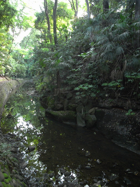d0128163_11314969.jpg