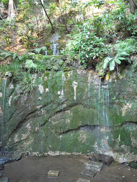 d0128163_11373528.jpg