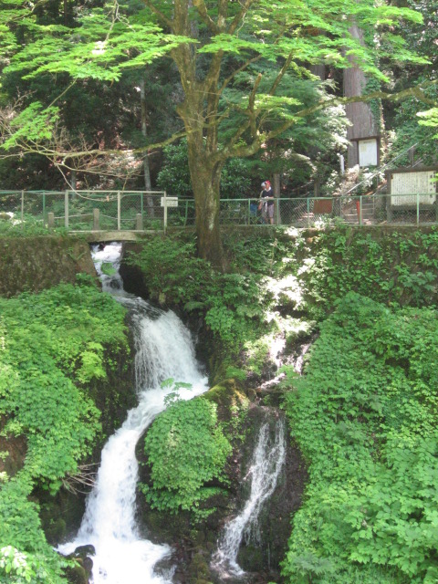 箱島の名水って　ものすご～い湧水の量でした_a0120264_17421492.jpg