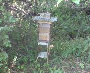 e0187064_23383318.jpg