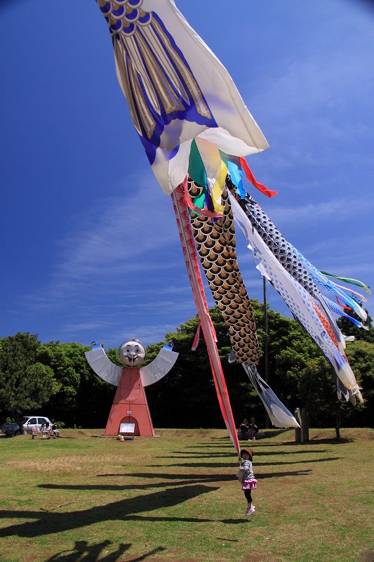 はまなす祭り 鹿嶋の風 はまなす祭り 鹿嶋の風