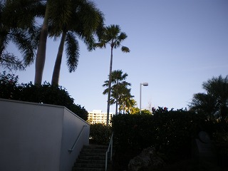 b0056570_22191876.jpg