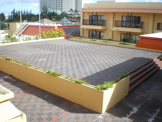 b0056570_22301615.jpg