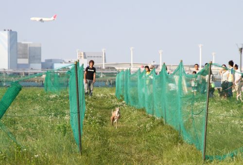 東扇島ＤＥＣトーナメント＆タイムレース（6月5日）_e0062371_21351111.jpg