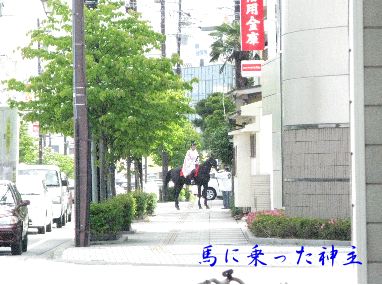 魚津神社_a0100274_14265416.jpg