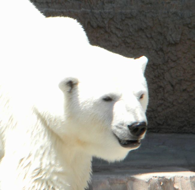 b0014576_20235364.jpg