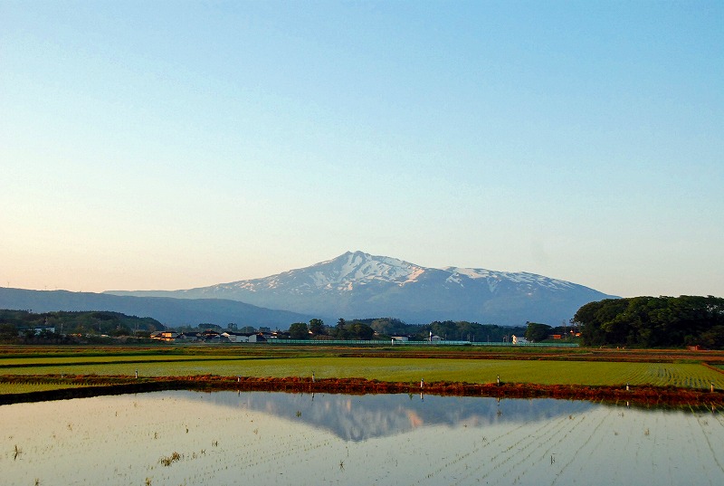 今日の日本海は穏やかで初夏を感じました。_f0121379_17145050.jpg