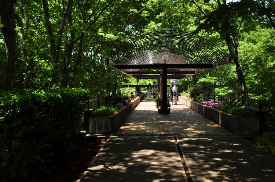 初夏の風景・・・水戸植物公園　6.6_b0163381_1803847.jpg