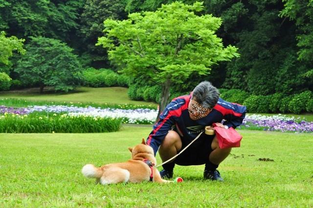 かぼちゃんからのプレゼント_a0126590_1382784.jpg