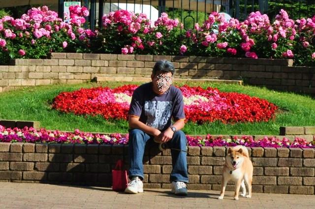薔薇の花に囲まれて_a0126590_2149291.jpg