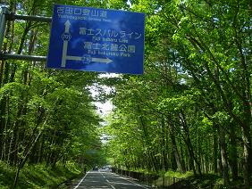 f0202990_09967.jpg