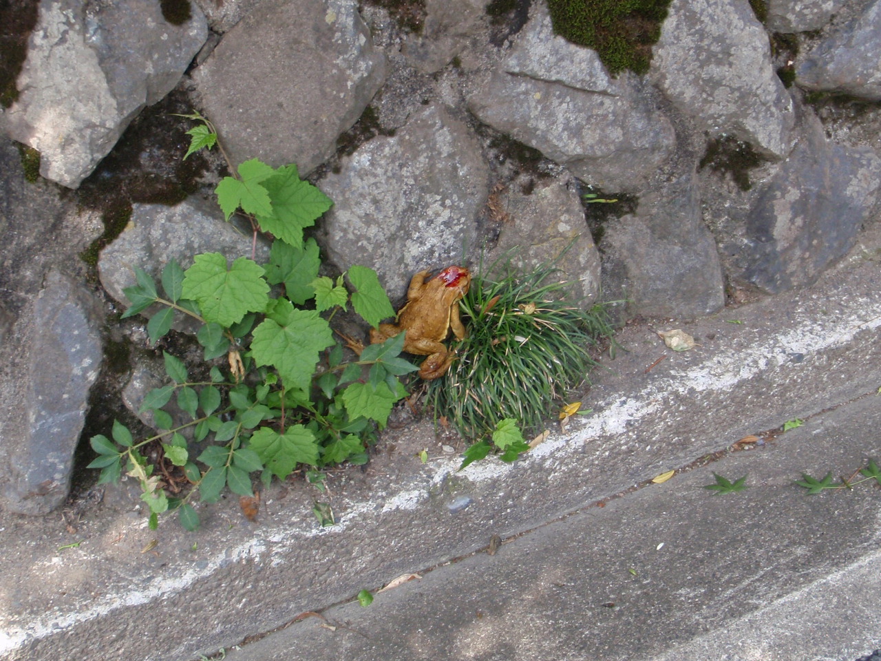 d0034291_20162045.jpg