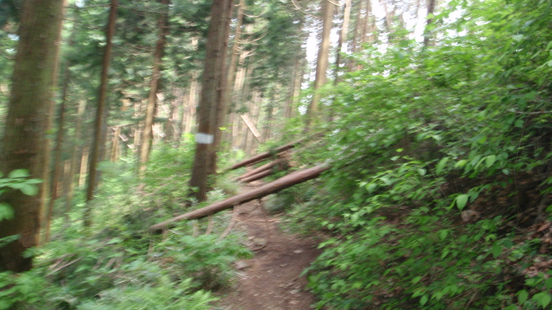 d0034291_20204897.jpg