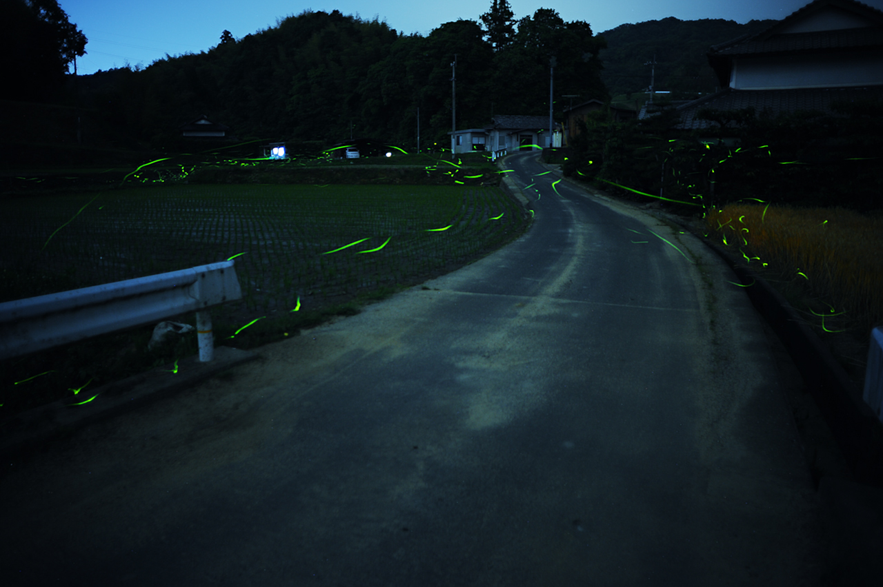 d0146295_950514.jpg