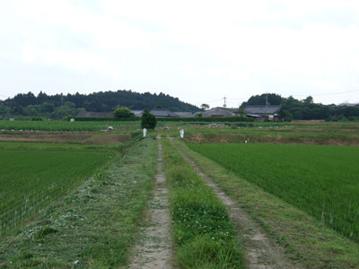 田舎の魅力_b0163004_1145503.jpg