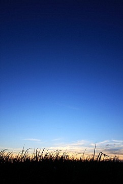 序の歌_c0125004_2134785.jpg