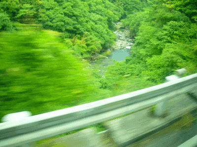a0071805_14475436.gif