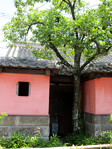 d0036708_04667.jpg