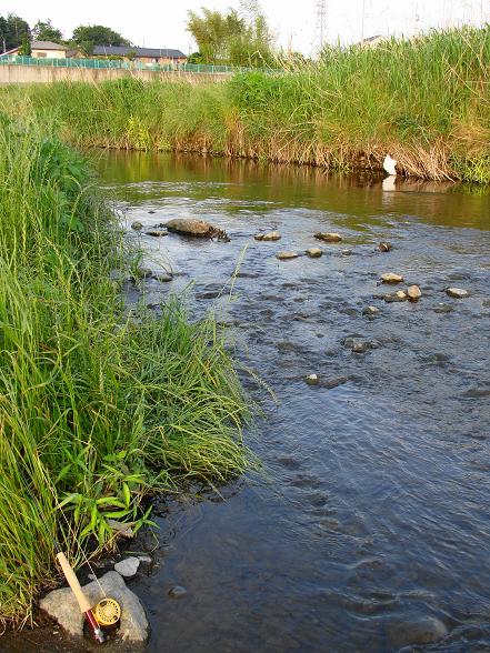 e0123808_012851.jpg