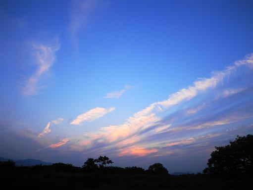 e0123808_018263.jpg