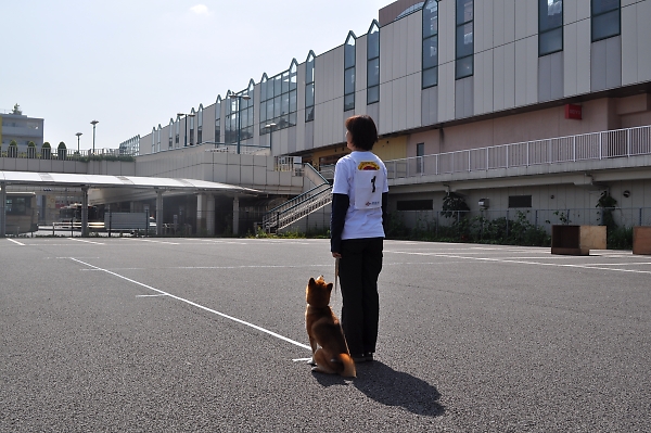 国見旅行記、あと一息なんですが_b0067012_2024171.jpg