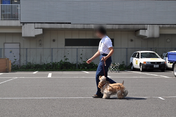 国見旅行記、あと一息なんですが_b0067012_2031294.jpg
