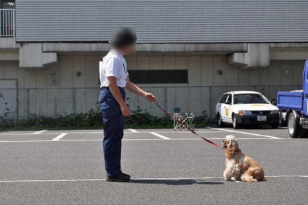 国見旅行記、あと一息なんですが_b0067012_2033018.jpg