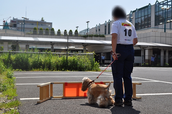 国見旅行記、あと一息なんですが_b0067012_2034564.jpg