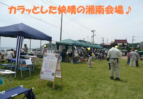 f0121712_23401520.jpg