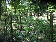 c0173813_22365598.jpg