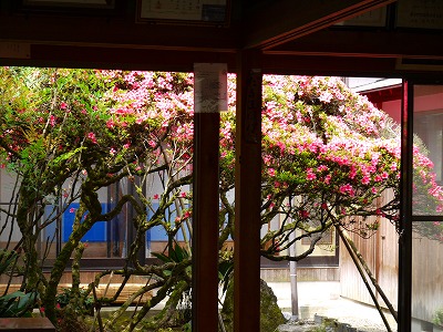 鈴鹿“江西寺(通称：だるま寺)”_a0101716_9173168.jpg