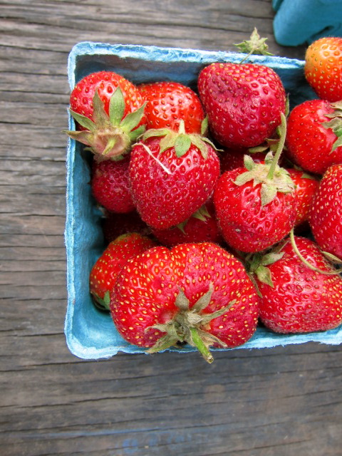 c0120817_0135869.jpg