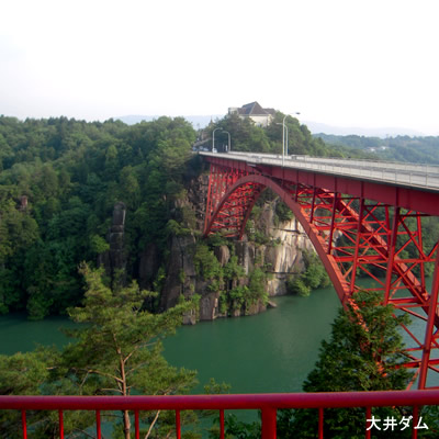 恵那峡でもちこり畑_d0063218_12114016.jpg
