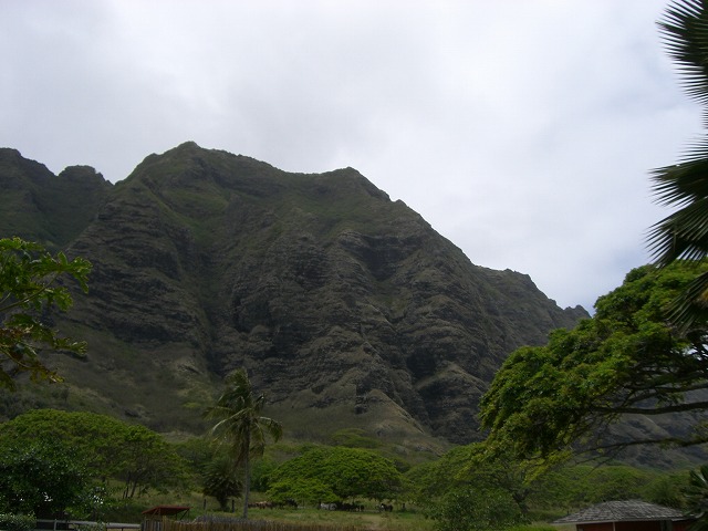 f0207320_21391036.jpg