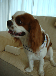 f0232522_1285111.gif
