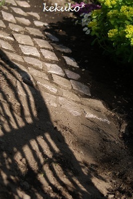 f0170524_704715.jpg